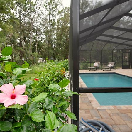 Pet-Friendly, Heated Pool, Close To Everything 3 Bedroom Home 邓内伦 外观 照片