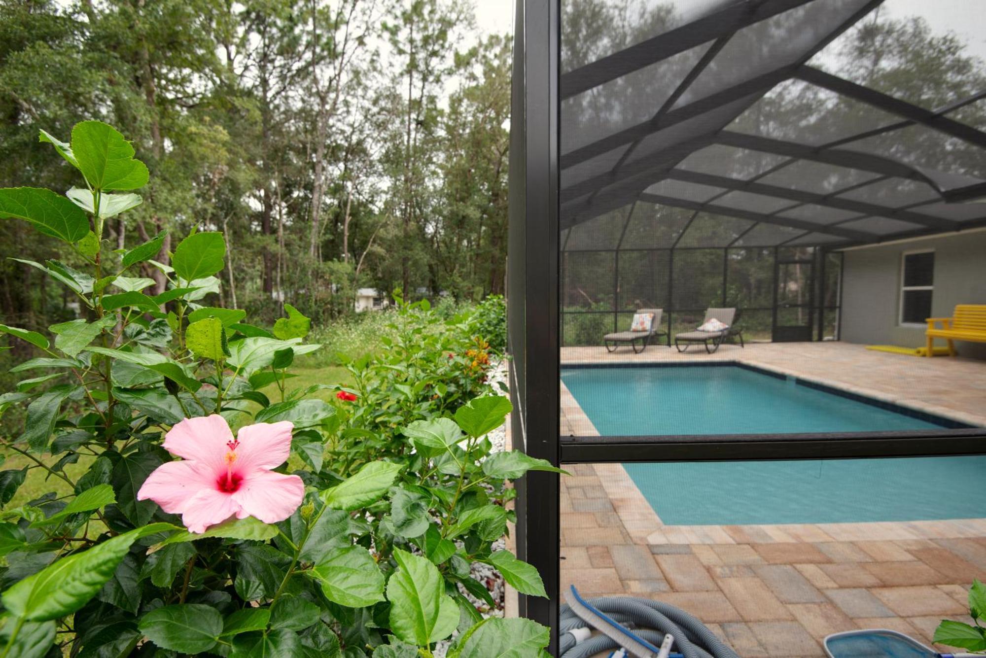 Pet-Friendly, Heated Pool, Close To Everything 3 Bedroom Home 邓内伦 外观 照片
